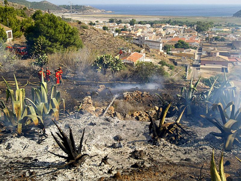 Estabilizado el incendio de Peña del Águila, que ha arrasado 380 hectáreas de parque natural