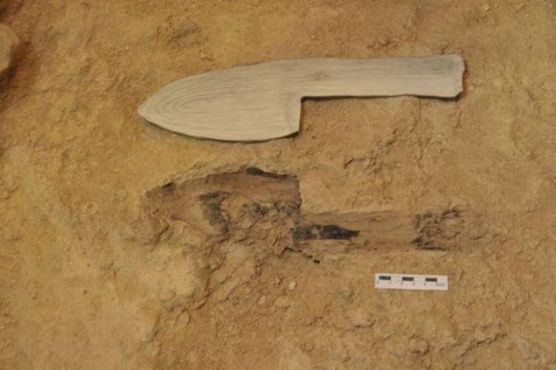 Una pala del pleistoceno, el utensilio de madera más antiguo de la arqueología