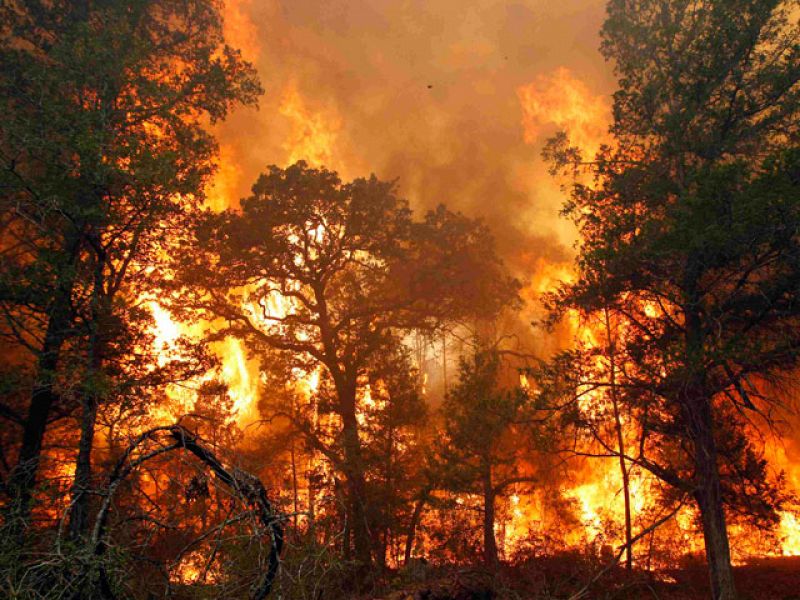 La ola de incendios en Texas quema ya más de 1.000 casas y miles de hectáreas