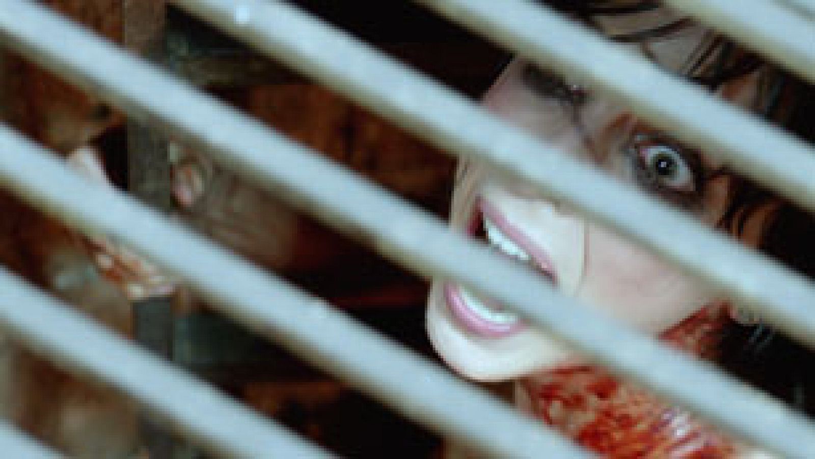 Teaser-tráiler de '[REC ]3 Génesis' | Ver