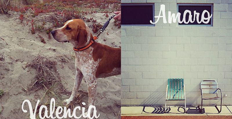 Instagram lanza su segunda versión con más filtros y mayor resolución para las imágenes