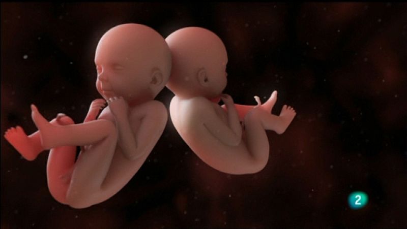 El 1% de los bebés occidentales nacen con ambigüedad genital