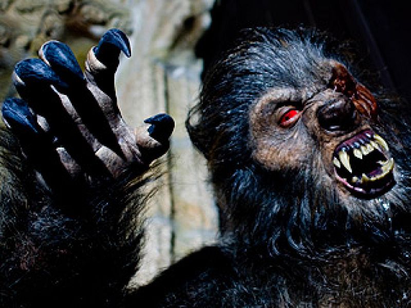 "Lobos de Arga" gana el premio del público en la semana del terrror de San Sebastián