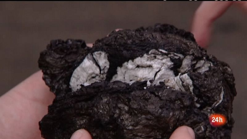 Crónicas. "Sobre el volcán"