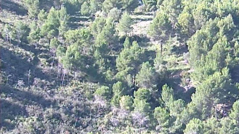Se estrella un helicóptero al oeste de Mallorca y mueren sus dos tripulantes