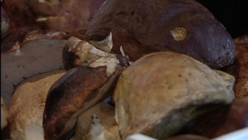 Muere un hombre intoxicado tras comer setas venenosas en Barcelona