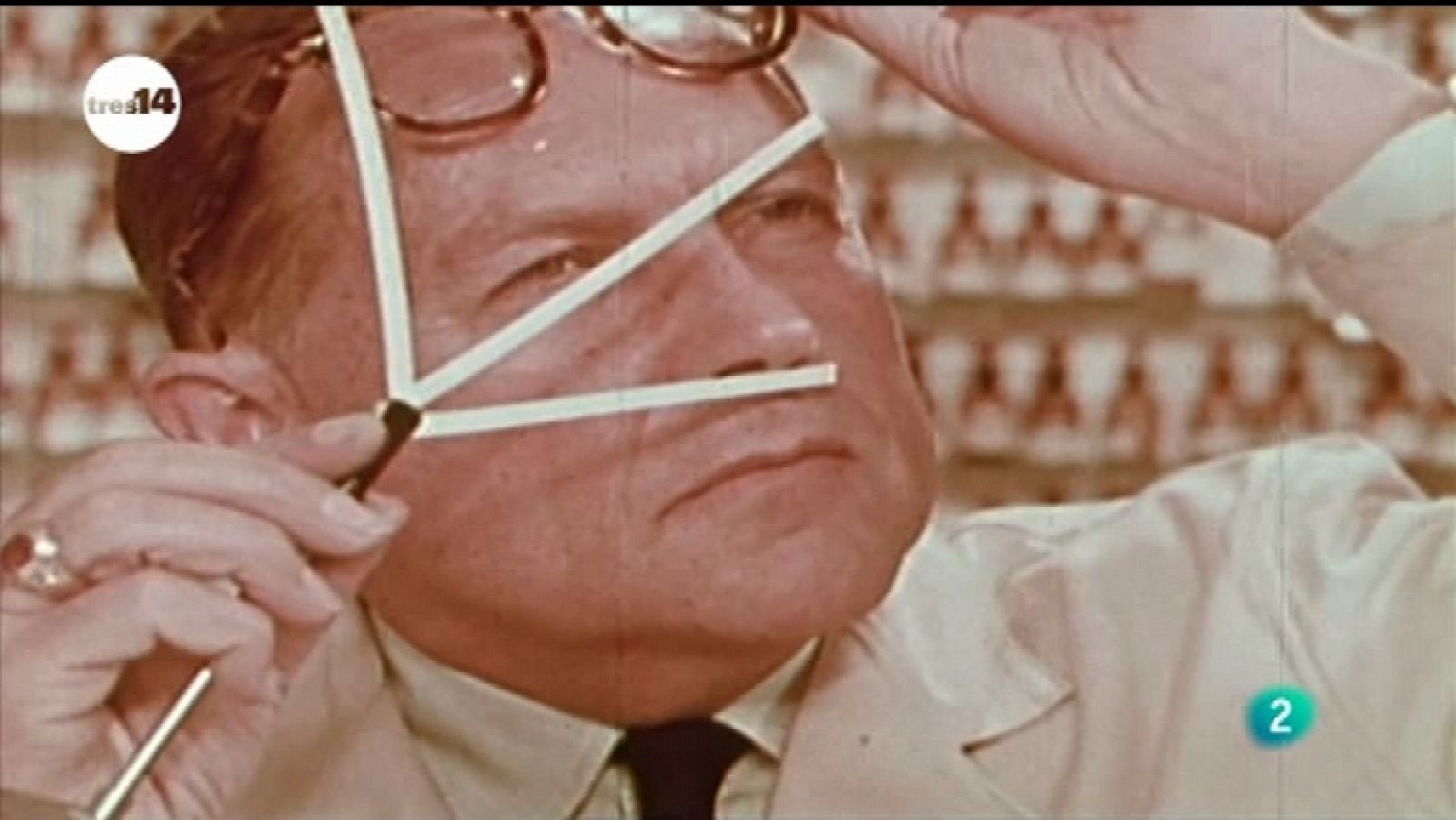 tres14 - Olfato - Ver ahora