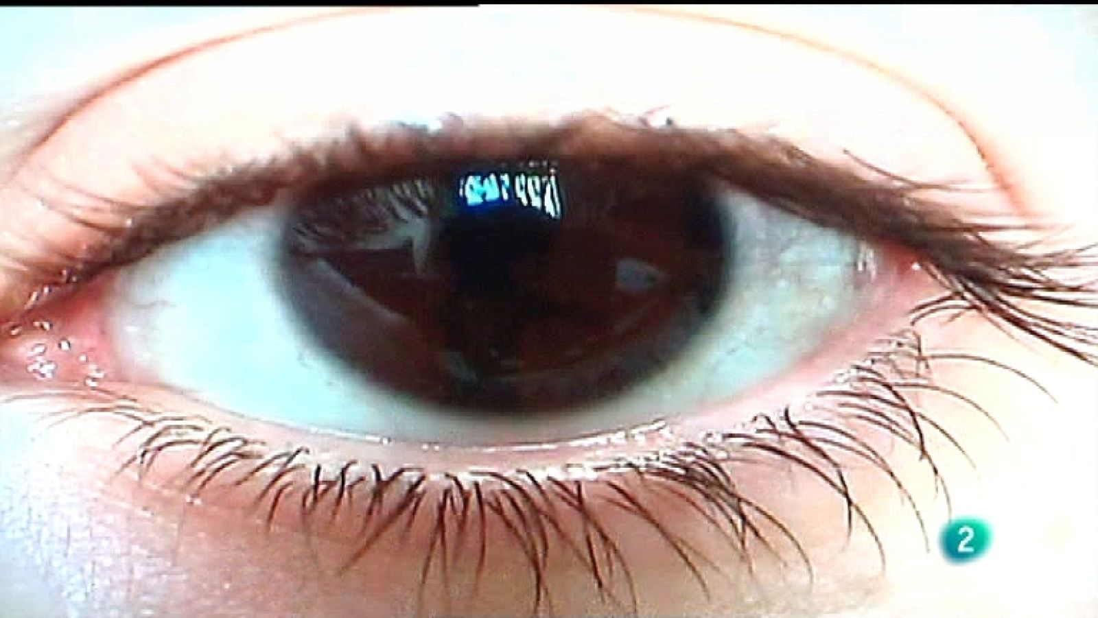 UNED - 16/12/11 - Ver ahora