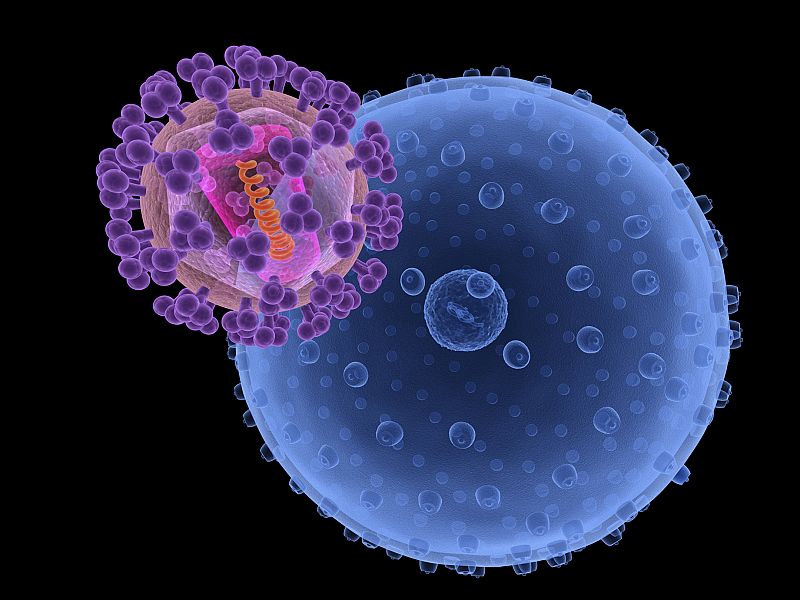 La prevención del sida con antivirales, descubrimiento del año para la revista 'Science'