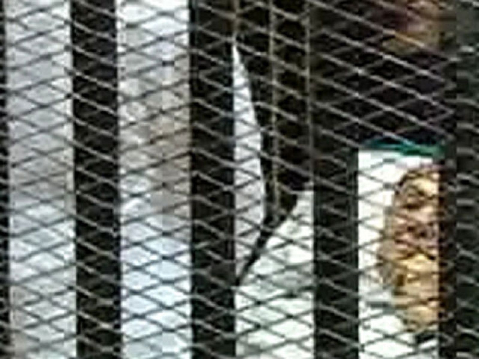 Primera sesión del juicio contra Hosni Mubarak