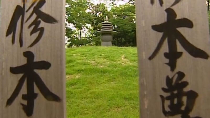 En Portada. "Jap�n, el Ave F�nix'