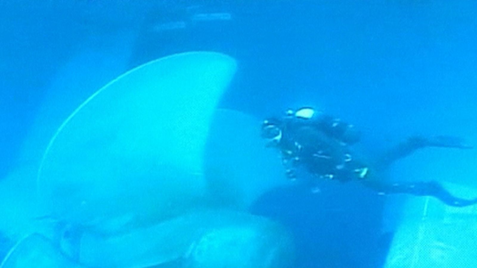 En la isla italiana han encontrado el cuerpo de una mujer sin vida