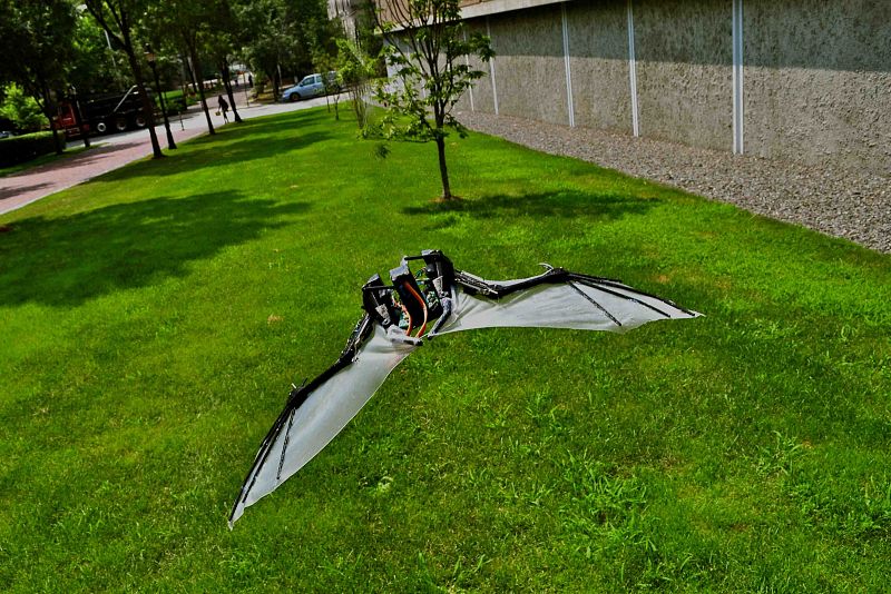 El robot-murciélago con "músculos" artificiales
