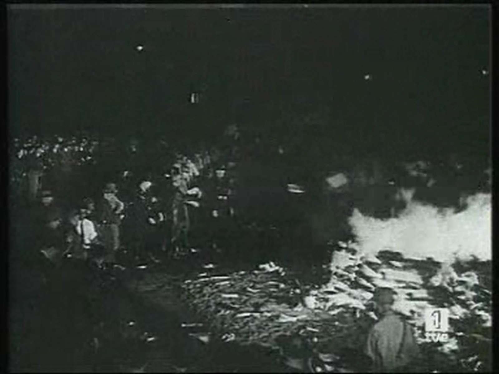 Hace 75 años, la Alemania nazi quemaba miles de libros en la hoguera en un acto contra la cultura alemana.