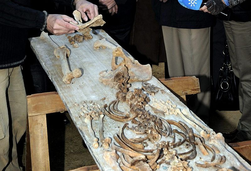 Una de las "17 rosas" de Guillena fusiladas estaba embarazada de siete meses