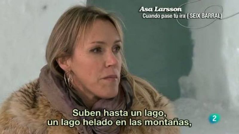 La última novela 'Cuando pase tu ira' de Asa Larsson