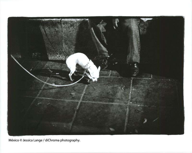 Jessica Lange expone sus fotos  mexicanas en la  Casa de América en Madrid