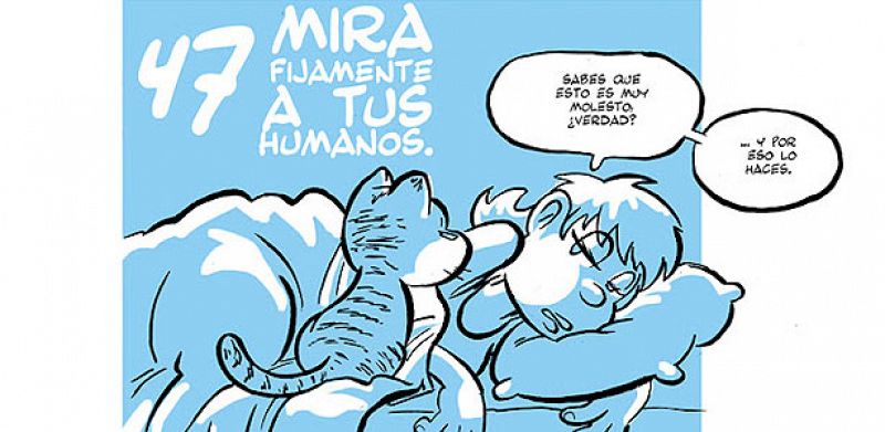 José Fonollosa nos muestra el punto de vista de los mininos en el cómic 'Guía gatuna'