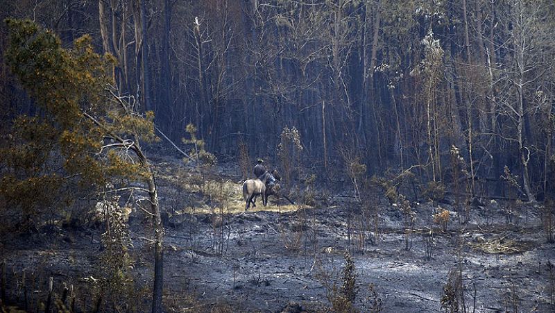 El incendio forestal que afecta al Parque de Fragas do Eume está bajo control