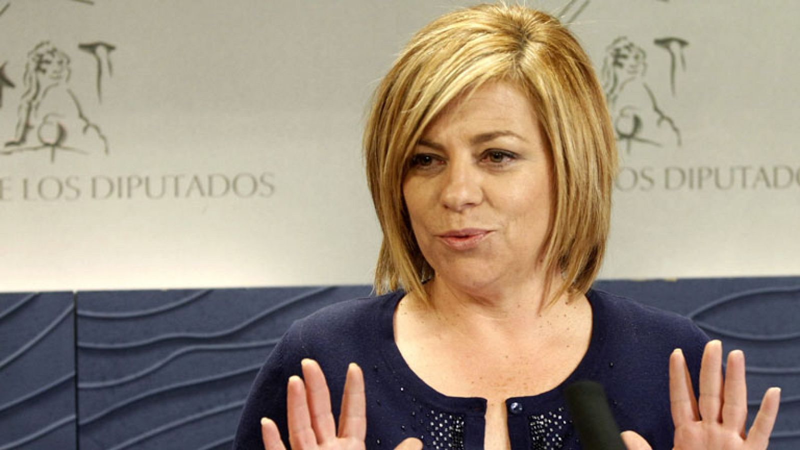 El PSOE dice que la Educación y la Sanidad son dos  líneas rojas infranqueables