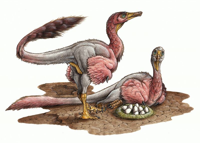 Descubren dos huevos fosilizados de una de las familias de dinosaurios más enigmáticas