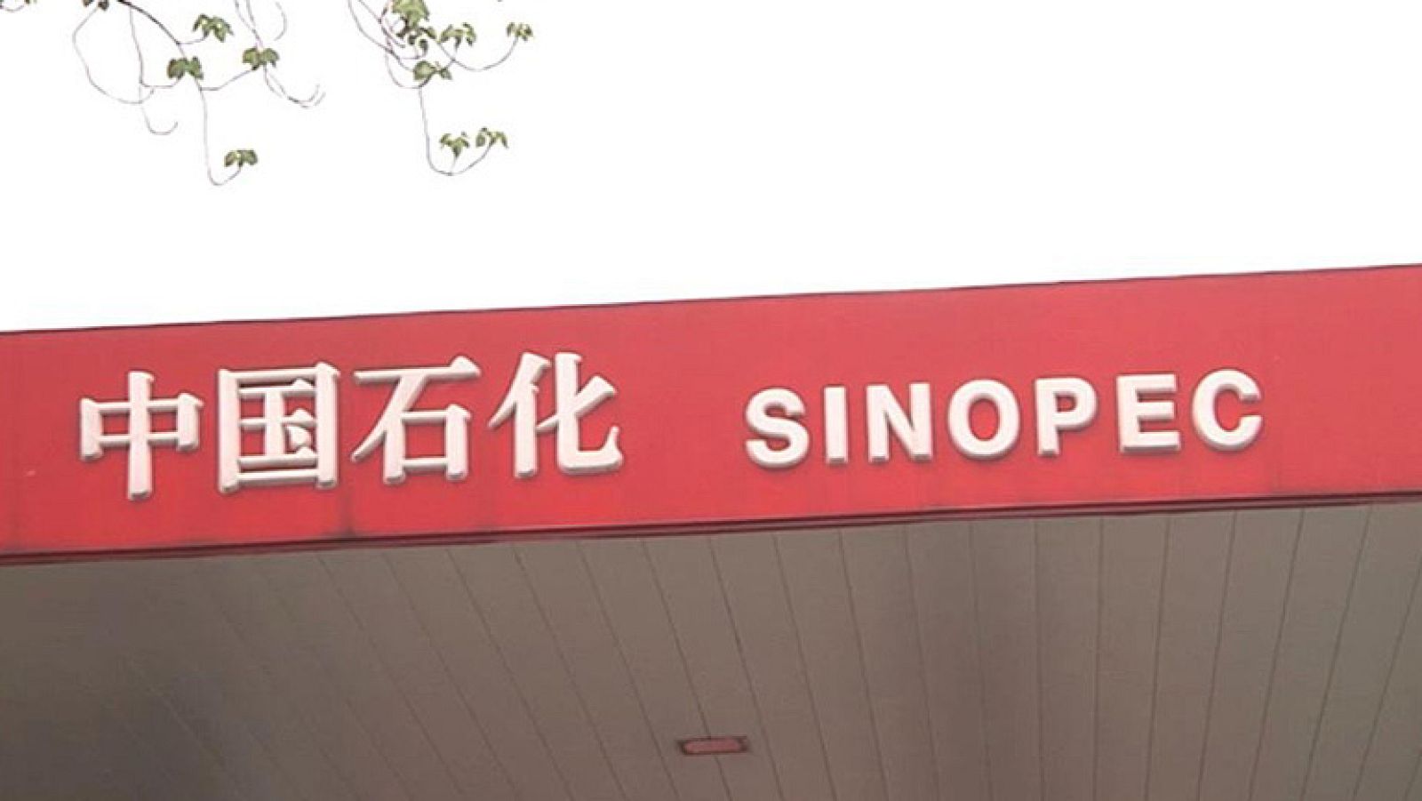 Sinopec quería comprar el 57% de YPF en manos de Repsol