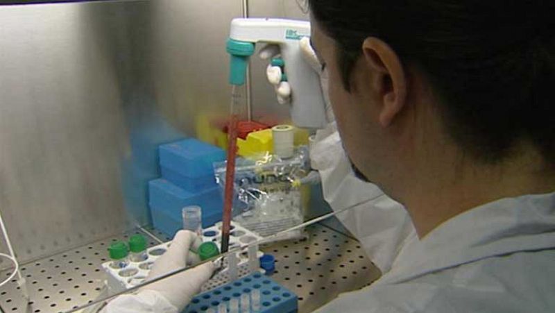Investigadores españoles descubren la molécula responsable de la propagación del virus del sida