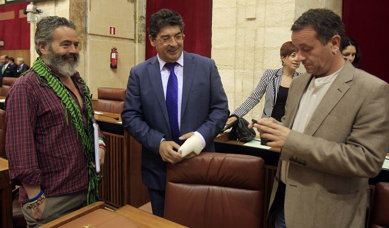 IU contará con la vicepresidencia y tres consejerías en el Gobierno andaluz