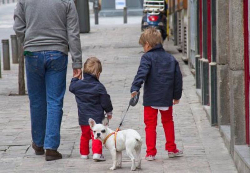 Una página para que "tener perro sea más fácil"