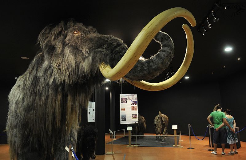 Identifican un mamut diminuto de 90 centímetros de altura que habitó en la isla de Creta