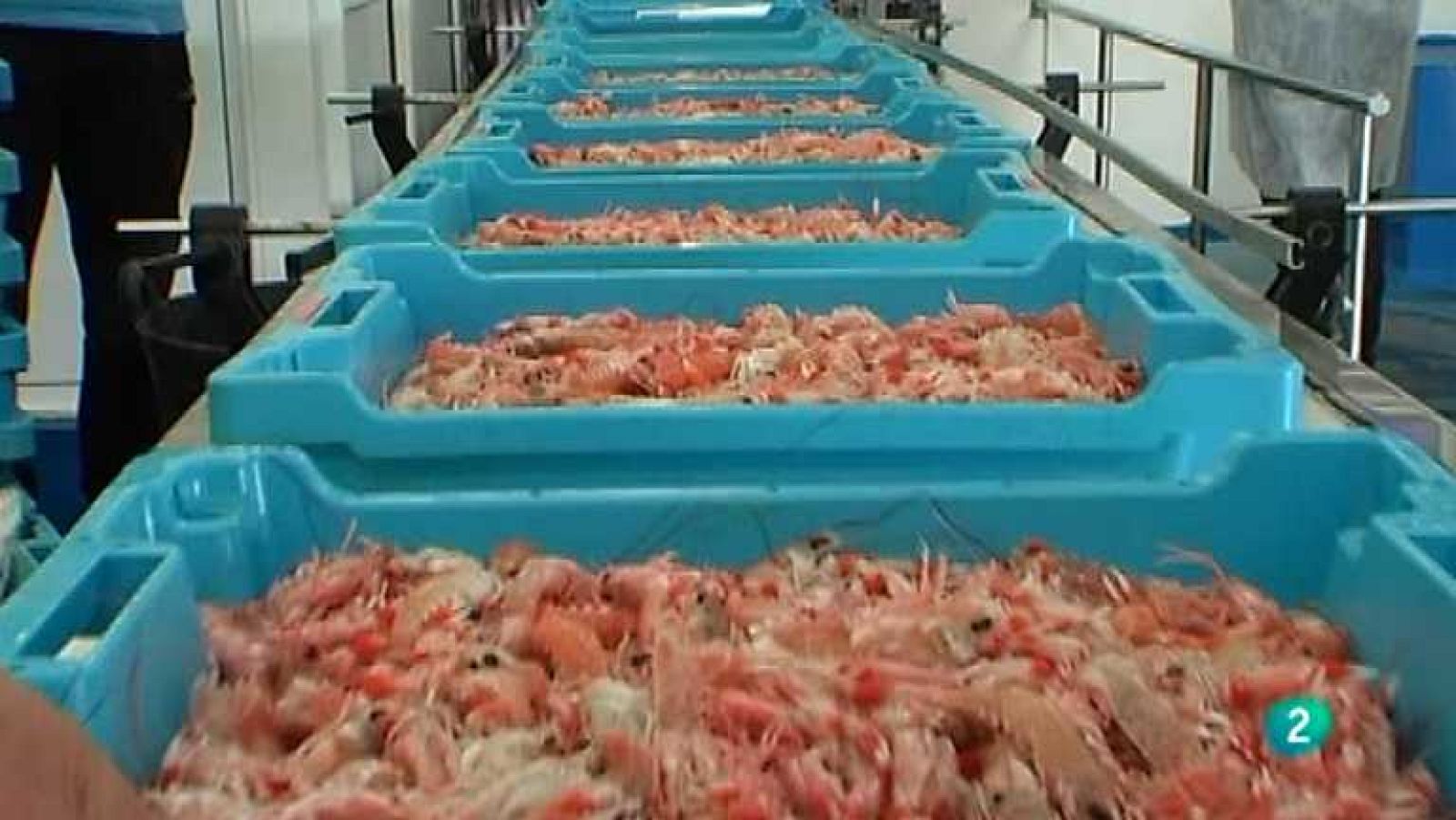 El escarabajo verde - De segundo, mercurio - Ver ahora