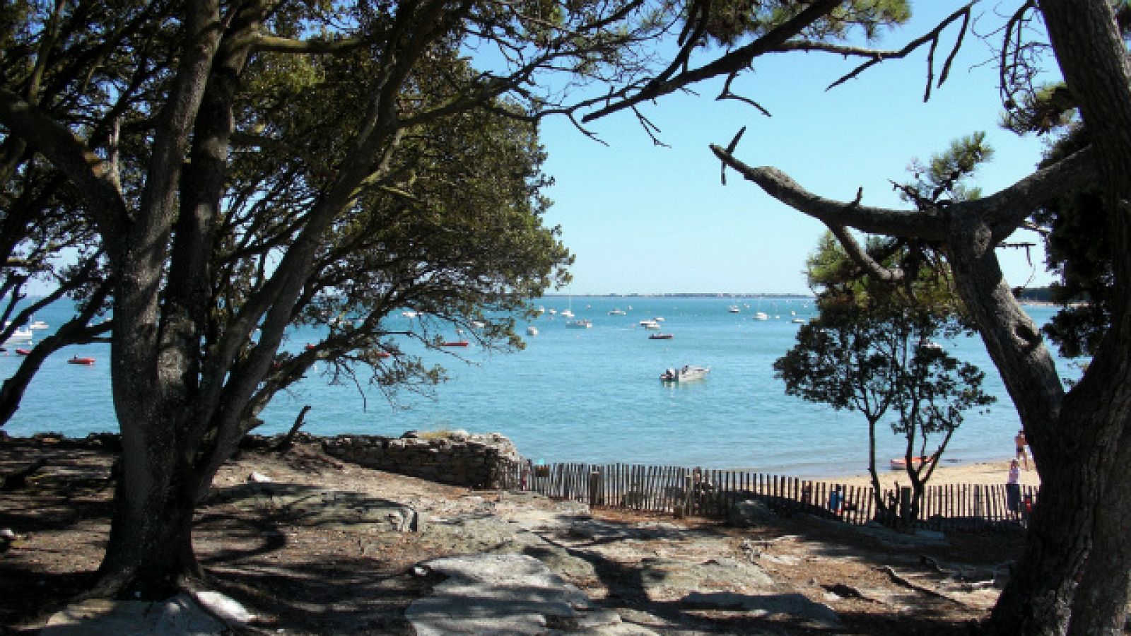 'Nómadas' en Países del Loira | Ver