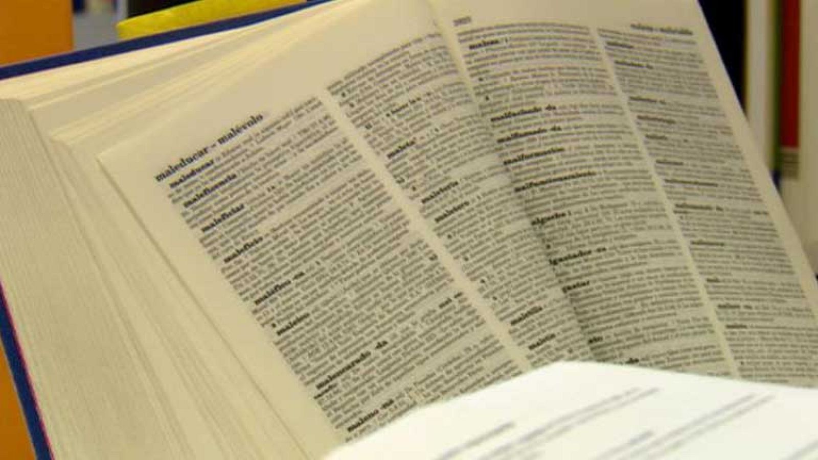 Matrimonio homosexual, bloguero y friki entran en el Diccionario de la RAE