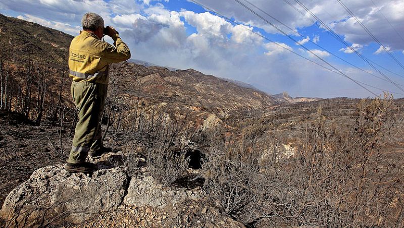 Los incendios de Cortes de Pallás y Andilla arrasan 48.000 hectáreas en Valencia