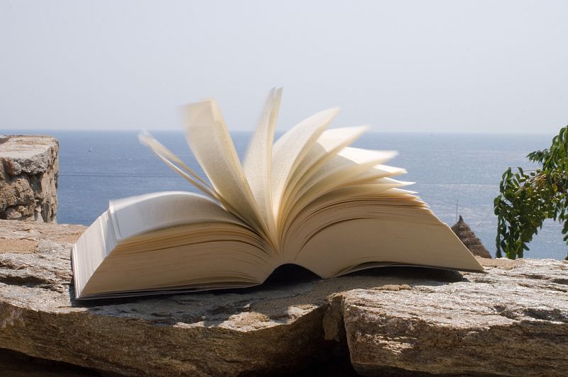 La caída en las ventas de libros duplicará este año la de 2011