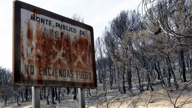Los incendios de Valencia están "prácticamente estabilizados" aunque 9 carreteras siguen cortadas