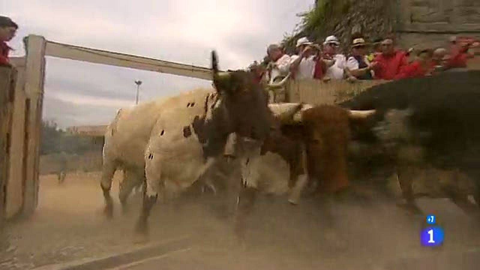 Los mejores momentos del cuarto encierro de San Fermín 2012, de El Pilar | Ver