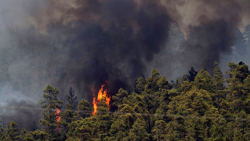 Los incendios de Tenerife y La Palma avanzan sin control mientras Canarias pide más medios