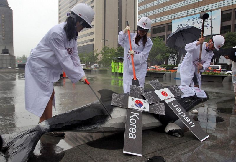 Seúl no retomará la caza científica de ballenas por las críticas internacionales