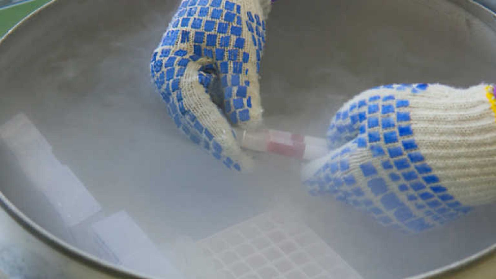 La noche temática - La ciencia del frío - Ver ahora