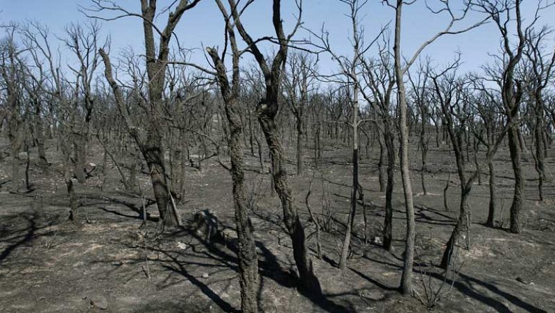 El fuego del Empordà podría controlarse este jueves y los Mossos analizan el ADN de colillas