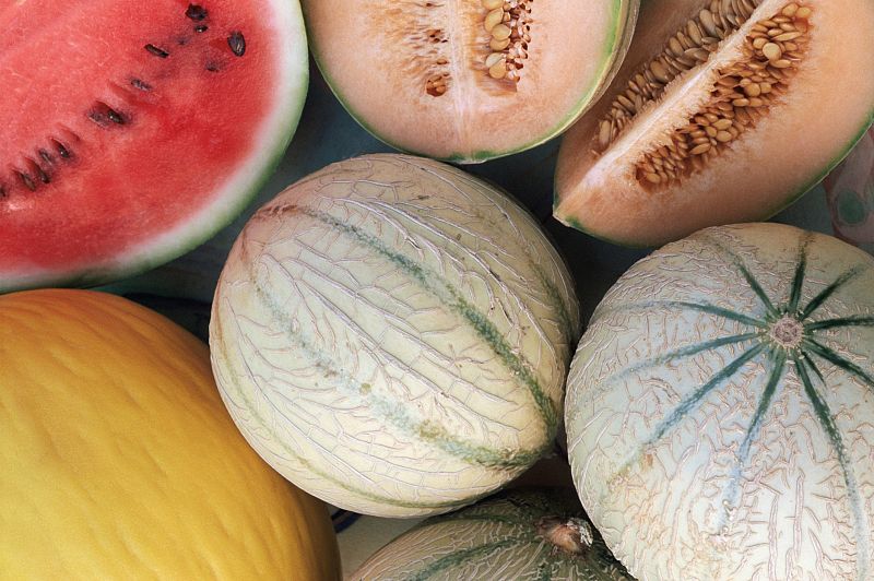 Melones y sandías, frutas de verano con pocas calorías
