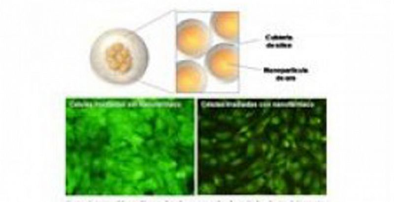 Investigadores españoles desarrollan un nuevo nanofármaco contra el cáncer