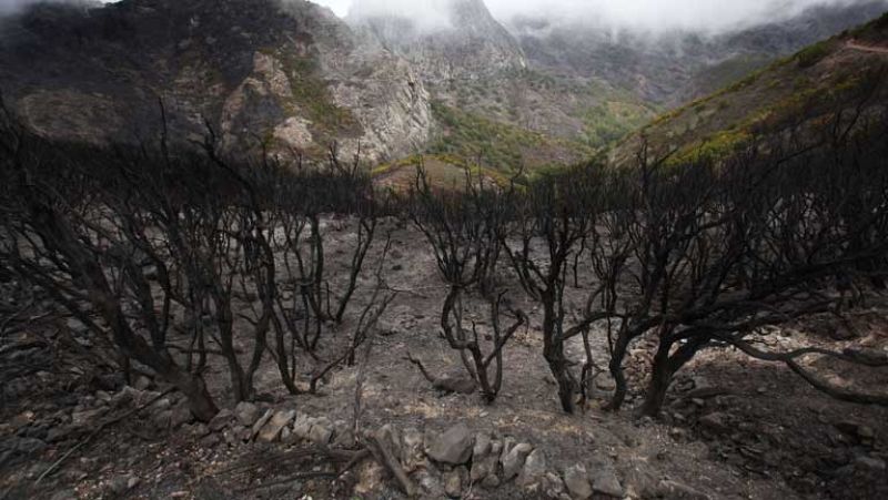 Estabilizado el incendio de La Palma y retrocede el de La Gomera