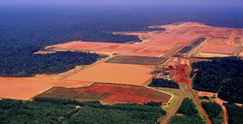 Google Earth controla la superficie Amazónica y evita la deforestación
