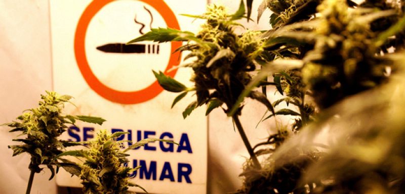 El Gobierno de Uruguay presenta el proyecto de ley para legalizar la marihuana