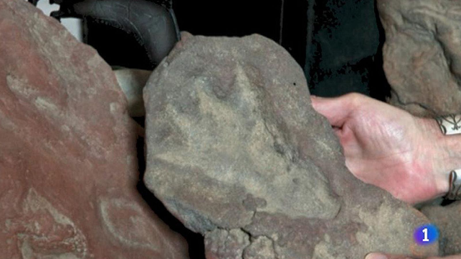 Descubren una huella que podría ser de dinosaurio en el complejo de la NASA | Ver