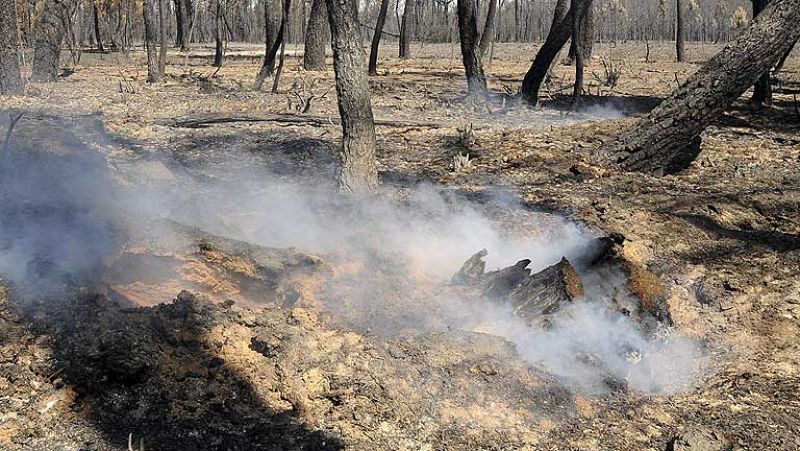 Estabilizado el incendio de León y, aunque activo, ya no hay riesgo para la población