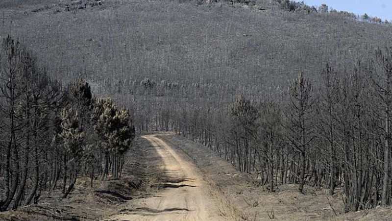 La UME se retira del incendio en León al no haber riesgo para las poblaciones cercanas