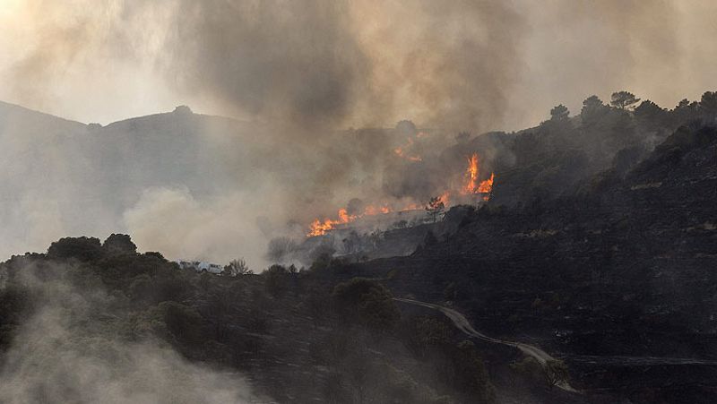 El incendio en la zona del Moncayo, en Zaragoza, estabilizado después de calcinar 3.500 hectáreas